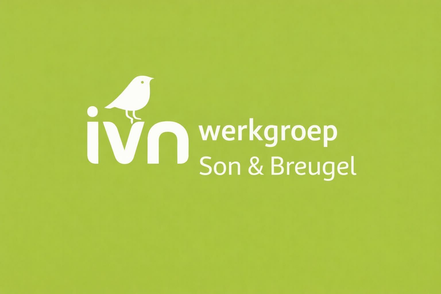 VWG Son en Breugel